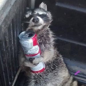 Meet your Posher, Teanna